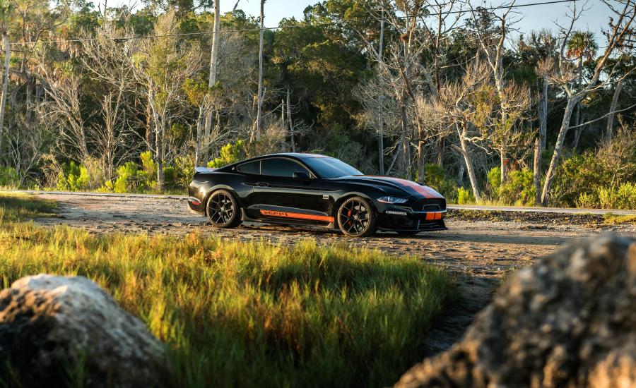  Shelby GT-S 2019 года  (фото 14 из 17)